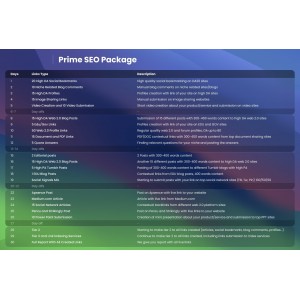 Daily SEO Prime 100 Plan