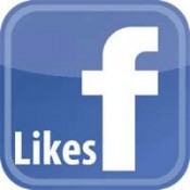 FB FanPage Likes