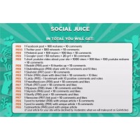 SOCIAL JUICE SEO PACKAGE