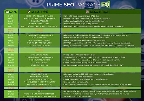 prime-100 seo plan